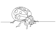 One-Line Ladybug Drawing: Simple and Fun Way to Learn Basic Insect Shapes