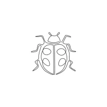 Adorable Ladybug in One Line: Fun and Simple Drawing for Young Artists