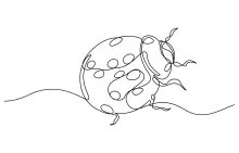 Ladybug in One Line: Explore Round Forms and Balance in a Simple Drawing