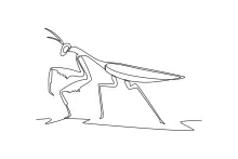 One-Line Mantis Drawing: Learn Angles and Shape Clarity in Simple Art