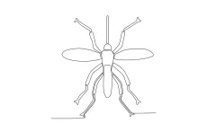 One-Line Mosquito Drawing: Study Thin Shapes and Long Legs Simply