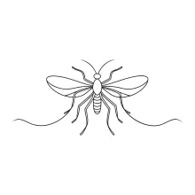 One-Line Mosquito Drawing: Practice Slender Form and Detail Awareness