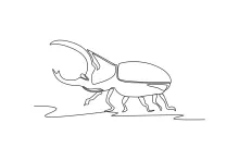 Rhinoceros Beetle in One Line: Draw Big Shapes and Learn Body Structure