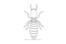 One-Line Termite Drawing: Easy Practice for Repeating Body Segments