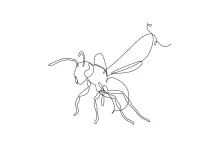 Easy Wasp Drawing in One Line: Practice Sharp Shapes in Insect Art