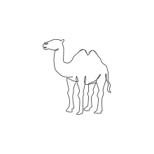One Line Arabian Camel Drawing: Explore Desert Animals the Easy Way