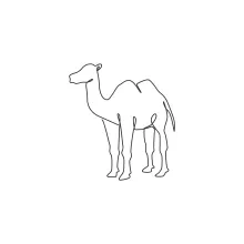 One Line Desert Camel Drawing: Simple Art of a Hardy Animal