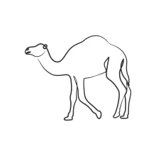 Easy One-Line Camel Drawing: Practice Shape and Symmetry with Desert Animals