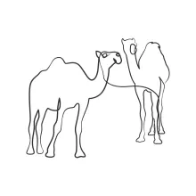 Draw a Camel Using One Line: Build Your Art Skills Through Simple Animal Shapes