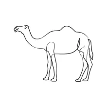 One-Line Camel Drawing for Beginners: Create Desert Animal Art in Simple Form
