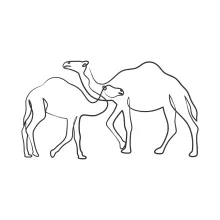 One-Line Camel Drawing: Explore Animal Structure with Simple Techniques