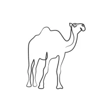 "One-Line Camel Drawing: A Minimalist Study of Iconic Desert Animal Forms"