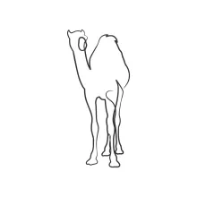 Fun and Easy Camel One-Line Drawing: Build Drawing Skills with Simple Lines