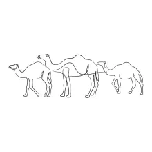 Simple Camel One-Line Art: A Minimalist Way to Learn Animal Drawing