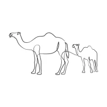 Beginner-Friendly Camel One-Line Drawing: Understand Animal Form Through Simplicity