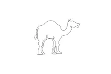 One Line Arabian Camel Drawing: Capture Desert Animals with Simplicity