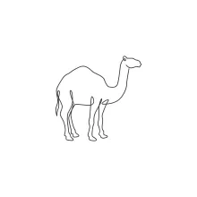 One Line Desert Camel Drawing: Practice Tall Animal Shapes in Simple Form