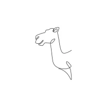 One Line Camel Head Drawing: Study Animal Features with Simple Shapes