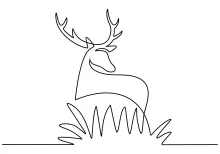 Simple Deer Drawing in One Line: Learn Forest Animal Shapes Step-by-Step