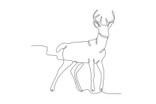 One-Line Deer Art for Beginners: Simple and Calm Animal Drawing