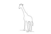 Giraffe One-Line Drawing for Beginners: Learn Proportion Through Simple Animal Art