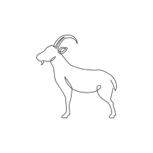 One Line Strong Goat Drawing: Sketch Mountain Animals with Simplicity