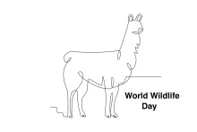 "Minimalist Llama Drawing: A One-Line Approach to Capturing Gentle Animal Forms"