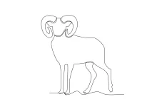 One-Line Sheep Drawing: Explore Farm Animal Shapes with Easy Art