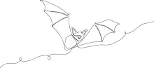 "One Line Bat Drawing: Illustrating a Mysterious Winged Mammal with Minimalist Techniques"