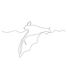 One Line Flying Bat Art: Easy and Fun for Practicing Animal Wings
