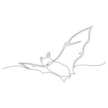 Draw a Flying Bat in One Line: Fun and Spooky Practice for All Ages