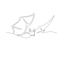Flying Bat in One Line Drawing: A Simple Way to Practice Wings and Shape