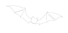 "Minimalist Halloween Bat Drawing: Illustrating a Spooky Symbol with One Continuous Line"
