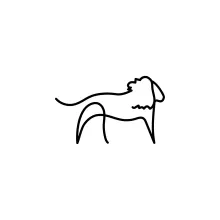 "One Line Lion Sketch: A Simple Way to Draw the King of the Jungle"