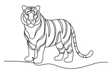One Line Tiger Drawing: Learn Big Cat Shapes with Simple Techniques