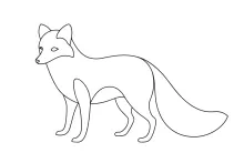 Arctic Fox One Line Drawing: Simple Art for Snowy Animal Shapes