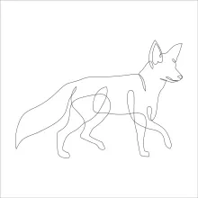 "Single Line Fox Art: A Simple and Playful Way to Draw Wildlife"