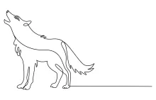 "One Line Wolf Drawing: Capturing Strength and Poise with Minimalist Techniques"