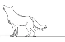 "Minimalist Wolf Illustration: Depicting Mystery and Motion in One Line Art"