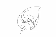 Simple One-Line Elephant Head Art: Beginner Practice with Wild Animal Features