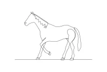 One Line Horse Drawing: Simple Practice for Animal Art Beginners