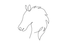 One Line Horse Head Drawing: A Calm and Simple Art Project for Beginners