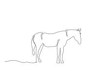 "Minimalist Horse Drawing: Capturing Elegance and Strength with One Line Art"