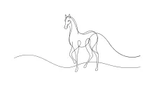 "One Line Horse Illustration: Capturing Strength and Grace with Minimalist Art"