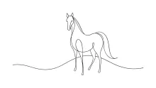 "One Line Horse Drawing: Illustrating Strength and Motion with Minimalist Art"