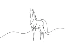 One Line Horse Drawing: Learn Proportion and Shape with Simple Art