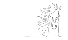 Horse Head in One Line: Learn Facial Features in a Simple Drawing Style