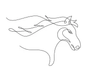 Simple Horse Face Drawing in One Line: Great for Animal Art Starters