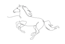 Running Horse in One Line Art: Learn Motion with Simple Drawing