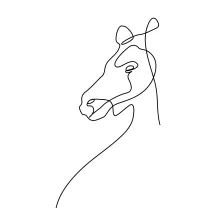Simple One Line Drawing of a Horse Head for Easy Art Skill Practice